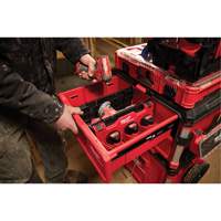 Diviseur pour boîtes &agrave; outils &agrave; tiroirs Packout St. Lawrence Industrial & Safety Supply