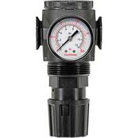 D&eacute;tendeur &agrave; diaphragme en zinc MODULAIR 300, 3/8" NPT, PSI max. de 300 psi, Canalisation/Modulaire St. Lawrence Industrial & Safety Supply