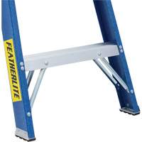 Escabeaux industriels (s&eacute;rie 6300), 4', Fibre de verre, Capacit&eacute; 250 lb, Type 1 St. Lawrence Industrial & Safety Supply