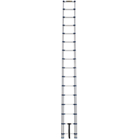 &eacute;chelle t&eacute;lescopique, 3' - 15,5', Aluminium, Capacit&eacute; de 250 lb, Type 1 St. Lawrence Industrial & Safety Supply