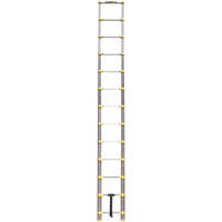 &eacute;chelle t&eacute;lescopique, 3' - 12', Aluminium, Capacit&eacute; de 250 lb, Type 1 St. Lawrence Industrial & Safety Supply