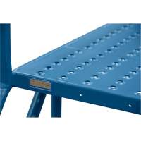 &eacute;chelles de liaison, 35-1/2" Port&eacute;e hors tout, 31-1/2" ha x 22" p, 22" Largeur de la marche St. Lawrence Industrial & Safety Supply