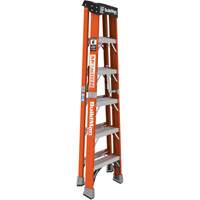 Escabeau, 6', Fibre de verre, Capacit&eacute; 375 lb, Type 1AA St. Lawrence Industrial & Safety Supply