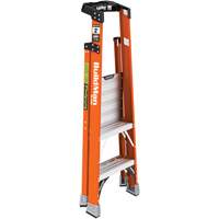 Escabeau avec plateforme Safespace, 2', Cap. De 300 lb St. Lawrence Industrial & Safety Supply