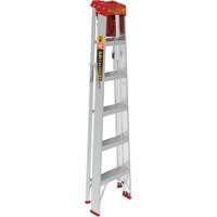 Step Ladder with Paint Tray, 6', Aluminum, 200 lbs. Capacity, Type 3 St. Lawrence Industrial & Safety Supply