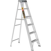 Step Ladder, 6', Aluminum, 225 lbs. Capacity, Type 2 St. Lawrence Industrial & Safety Supply