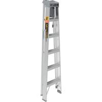Step Ladder with Paint Tray, 6', Aluminum, 225 lbs. Capacity, Type 2 St. Lawrence Industrial & Safety Supply