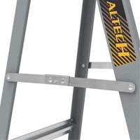 Step Ladder with Paint Tray, 6', Fibreglass, 225 lbs. Capacity, Type 2 St. Lawrence Industrial & Safety Supply