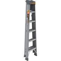 Step Ladder with Paint Tray, 6', Fibreglass, 225 lbs. Capacity, Type 2 St. Lawrence Industrial & Safety Supply