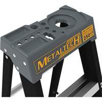 Step Ladder with Paint Tray, 10', Fibreglass, 250 lbs. Capacity, Type 1 St. Lawrence Industrial & Safety Supply