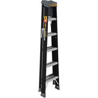 Step Ladder with Paint Tray, 6', Fibreglass, 250 lbs. Capacity, Type 1 St. Lawrence Industrial & Safety Supply
