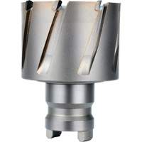 Fraise avec tenon &agrave; changement rapide Drive Hawg, Diam&egrave;tre de 2", Acier, Profondeur de la coupe de 1" St. Lawrence Industrial & Safety Supply