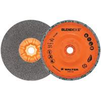Blendex U Finishing Cup Disc, 5" Dia., Fine Grit, Silicon Carbide St. Lawrence Industrial & Safety Supply