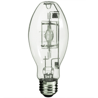 Ampoules pour lampe de travail St. Lawrence Industrial & Safety Supply