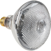 Ampoules