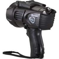 Projecteurs style pistolet Waypoint, DEL, 550 Lumens, Piles C St. Lawrence Industrial & Safety Supply