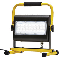 Projecteur d'illumination, DEL, 50 W, 4800 lumens, Boîtier en Aluminium St. Lawrence Industrial & Safety Supply