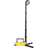Lampes de sc&egrave;ne portables et rechargeables, DEL, 36 W, 5300 lumens, Boîtier en Plastique St. Lawrence Industrial & Safety Supply