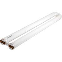 Lampes fluorescentes OCTRON CURVALUME 800, 31 W, T8 en U, 4100 K, Longueur de 22,5" St. Lawrence Industrial & Safety Supply