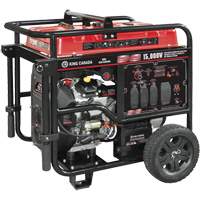V-Twin Gasoline Generator, 15000 W Surge, 12500 W Rated, 120 V/240 V, 40 L Tank St. Lawrence Industrial & Safety Supply