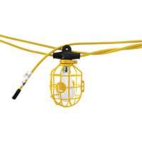 Chaînes de lumi&egrave;res DEL, 10 Lumi&egrave;res, 1200" lo, Boîtier en Plastique St. Lawrence Industrial & Safety Supply