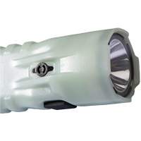 Lampe de poche, DEL, 378 lumens, Piles AA St. Lawrence Industrial & Safety Supply