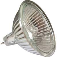Ampoule de rechange MR16 St. Lawrence Industrial & Safety Supply