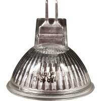 Ampoule de rechange MR16 St. Lawrence Industrial & Safety Supply