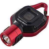 Lampe de poche USB Pocket Mate St. Lawrence Industrial & Safety Supply