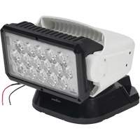 Projecteur orientable polyvalent &agrave; t&eacute;l&eacute;commande, DEL, 4250 lumens St. Lawrence Industrial & Safety Supply