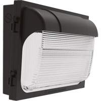 Applique murale TWX, DEL, 480 V, 9 W - 54 W, 14" ha x 18" la x 5" p St. Lawrence Industrial & Safety Supply