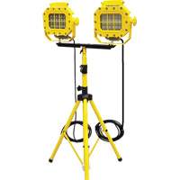 Diffuseur anti-d&eacute;flagration avec tr&eacute;pied, DEL, 40 W, 5600 lumens, Boîtier en Aluminium St. Lawrence Industrial & Safety Supply