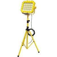 Diffuseur anti-d&eacute;flagration avec tr&eacute;pied, DEL, 40 W, 5600 lumens, Boîtier en Aluminium St. Lawrence Industrial & Safety Supply