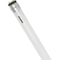 Ampoule DEL en verre givr&eacute; SubstiTUBE, 12 W, T8, 5000 K, 48" l St. Lawrence Industrial & Safety Supply