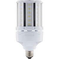 Ampoule HID de remplacement s&eacute;lectionnable ULTRA LED, E26, 18 W, 2700 lumens St. Lawrence Industrial & Safety Supply