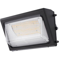 Luminaire mural, DEL, 120 -347 V, 80 W St. Lawrence Industrial & Safety Supply